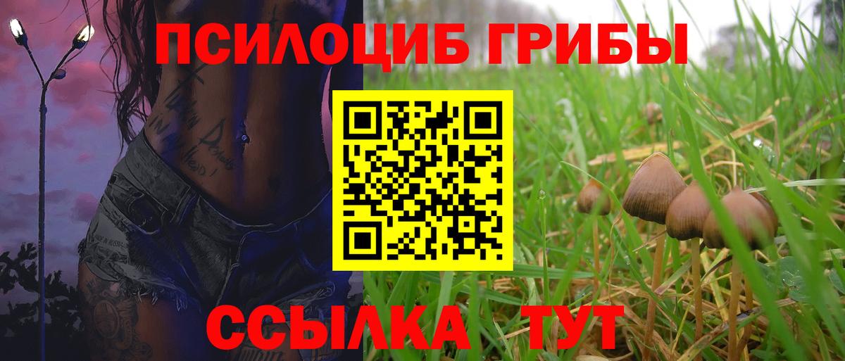 Галлюциногенные грибы Psilocybine cubensis Кимовск