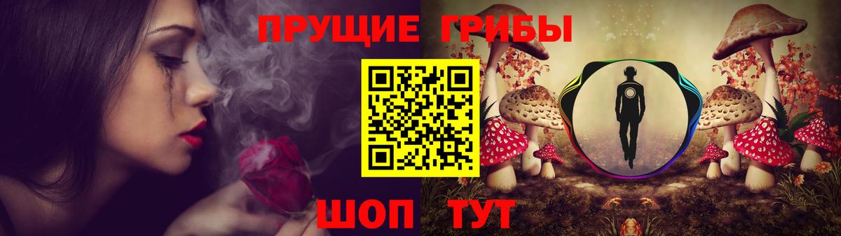 Кимовск  Галлюциногенные грибы прущие грибы  Вход с VPN  Псилоцибиновые грибы Psilocybe 